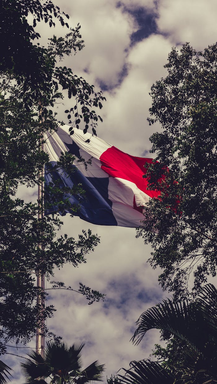 who-we-are Panama national flag waving amidst tropical trees under a cloudy sky.